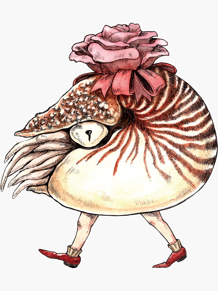 Thumbnail 3 of 3, Sticker, Flower nautilus designed and sold by KiyomiInoue.