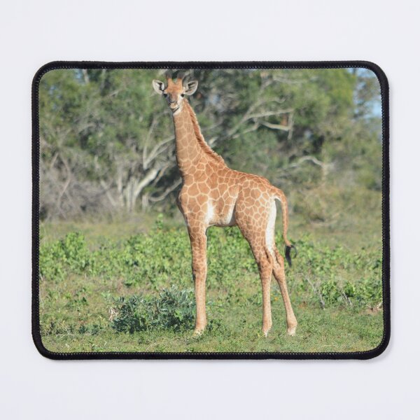 Item preview, Baby giraffe mousepad designed and sold by Roy-Babiuk.