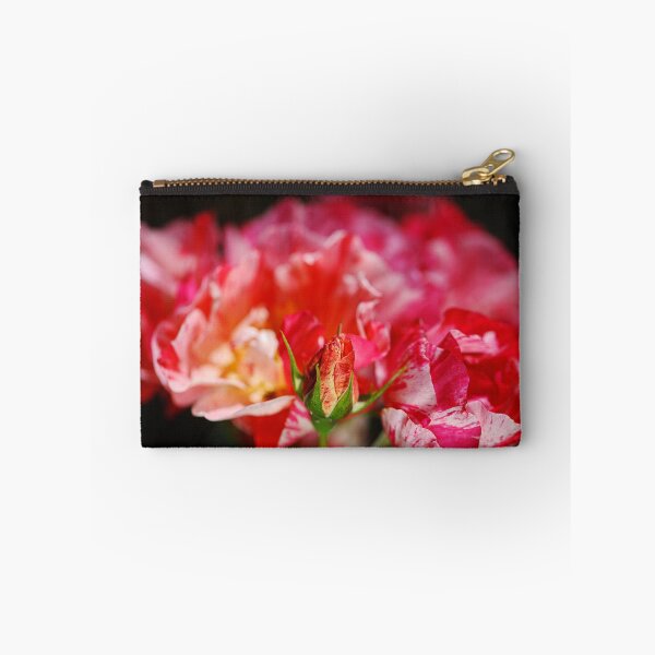 Item preview, Variegated Bud Over Her Roses designed and sold by Joy Watson - Natural Light Photography .