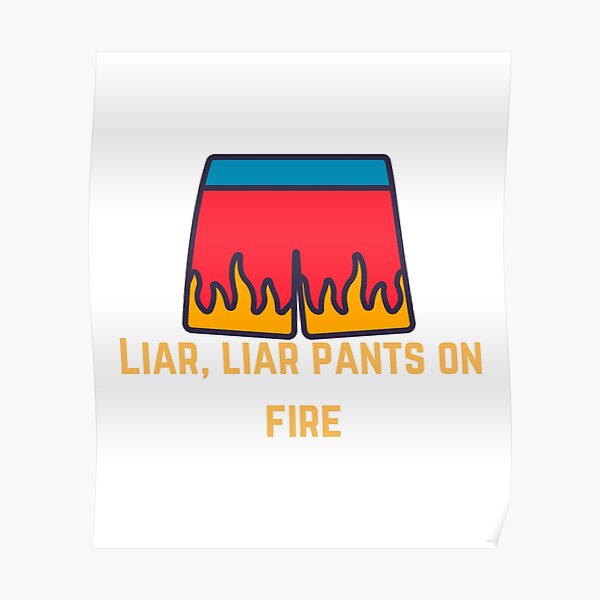 Pants On Fire Posters For Sale Redbubble