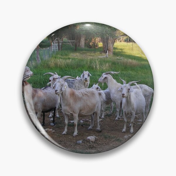 Item preview, A Crowd of Goats designed and sold by dogplay.