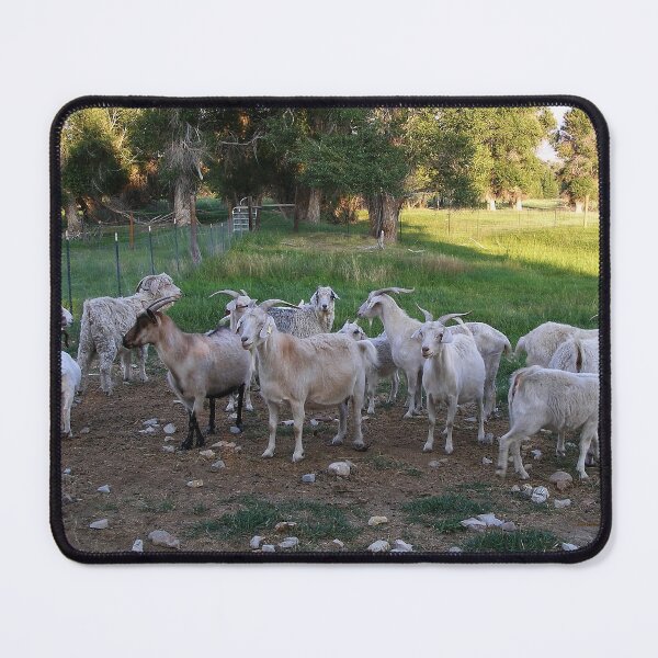 Item preview, A Crowd of Goats designed and sold by dogplay.