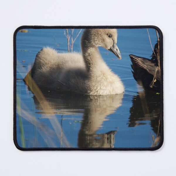 Item preview, The Cygnet designed and sold by D-GaP.