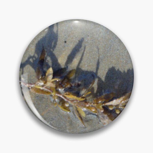 Item preview, Mission Beach Seaweed designed and sold by STHogan.