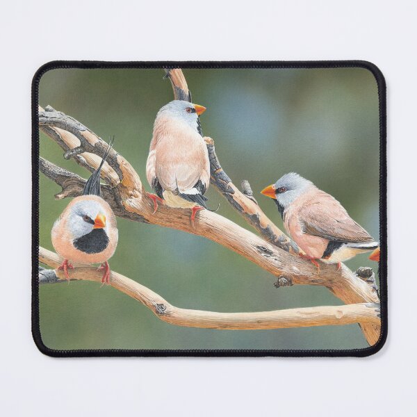 Item preview, "Quintet" (Long-tailed Finches) designed and sold by Frances McMahon Watercolour Bird Artist.