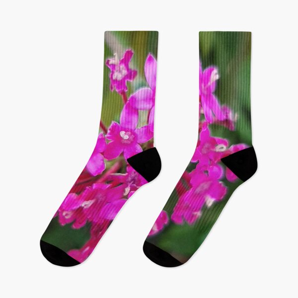 Item preview, pink flower designed and sold by paulossilva.