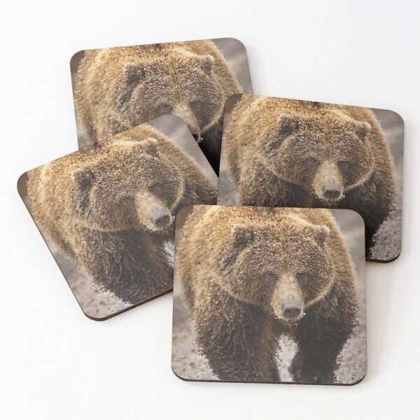 Item preview, Probably Friendly Bear designed and sold by MathenaArt.