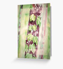 Nature's Moments Greeting Card