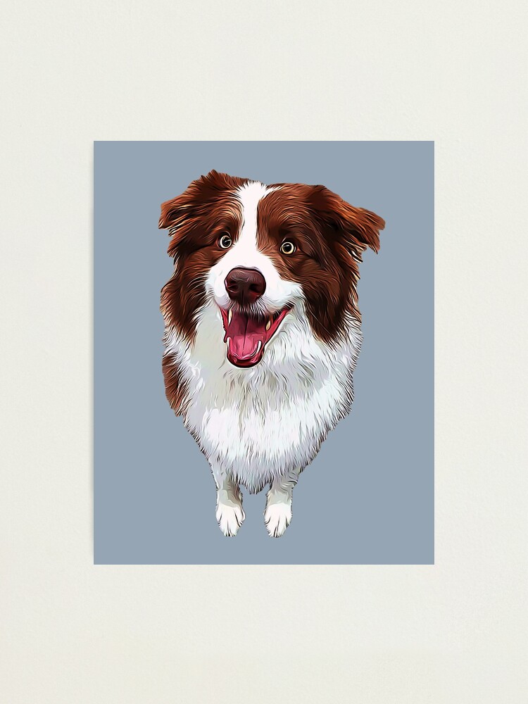 Brown Border Collie Animal Pattern Style by Colorful Jean Baptiste ·  Creative Fabrica