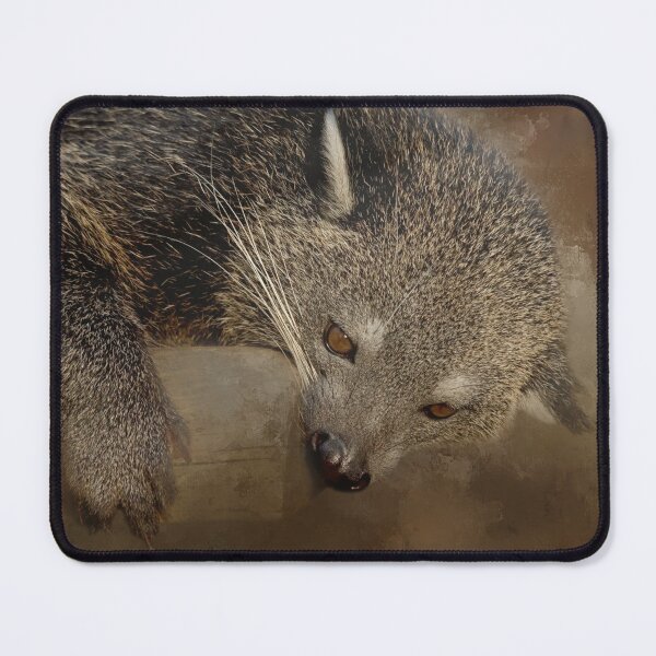Item preview, Binturong designed and sold by Elisabeth Lucas.