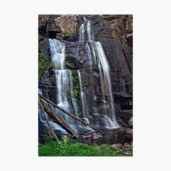 Item preview, Stevensons Falls Victoria Australia designed and sold by Catherine Reading.