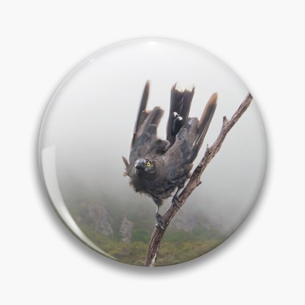 Item preview, Pied Currawong at Cradle Mountain. designed and sold by Alex Preiss.