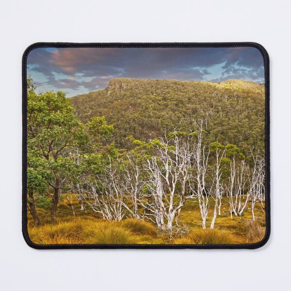 Item preview, Forest In The Cradle Mountain National Park designed and sold by Alex Preiss.