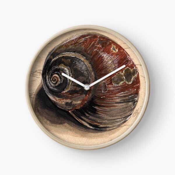 Moon Snail Clock