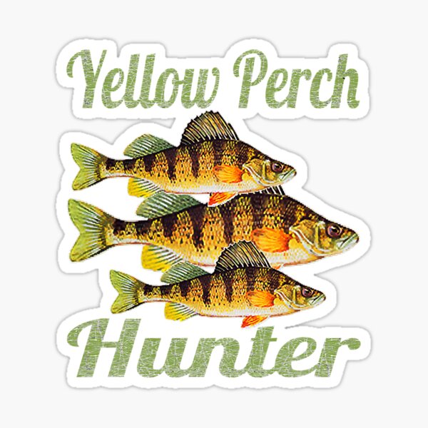 Fisch - Perch - fishing fish - tawny- Patch - Back Patches - Patch  Keychains Stickers -  - Biggest Patch Shop worldwide