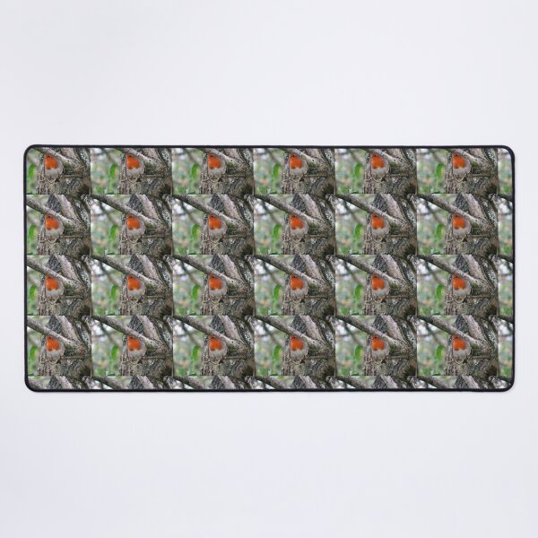Item preview, robinj designed and sold by KathleenDawson.