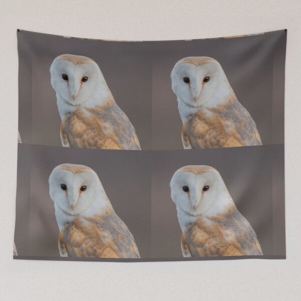 Item preview, barn owl designed and sold by tammy mellor.