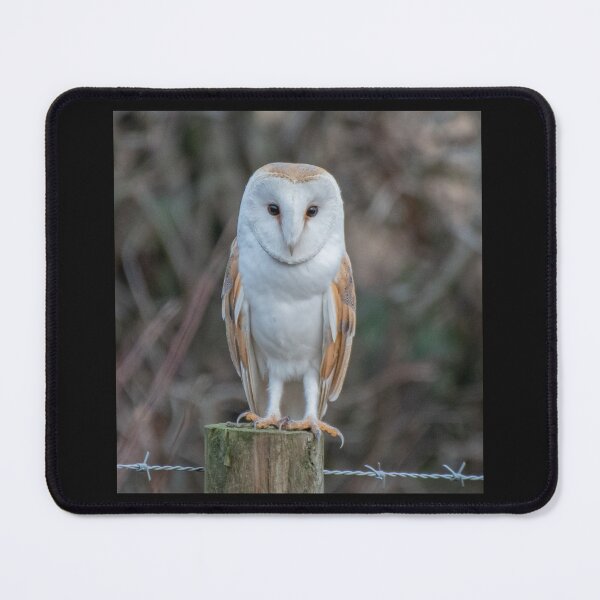 Item preview, barn owl designed and sold by tammy mellor.