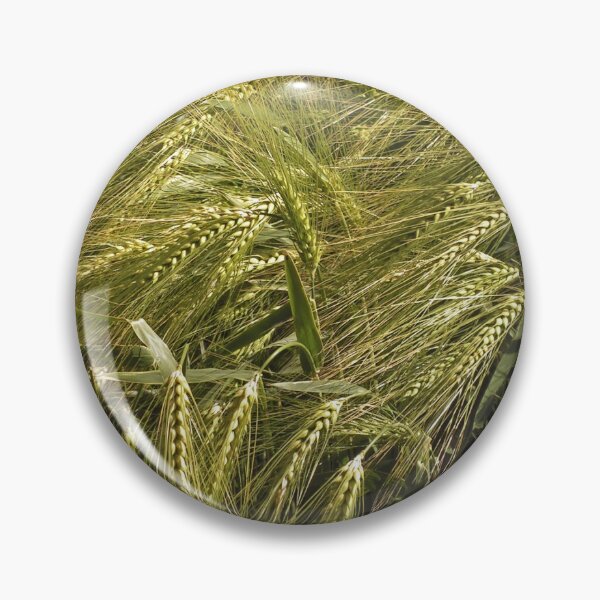 Item preview, Field designed and sold by Vac1.