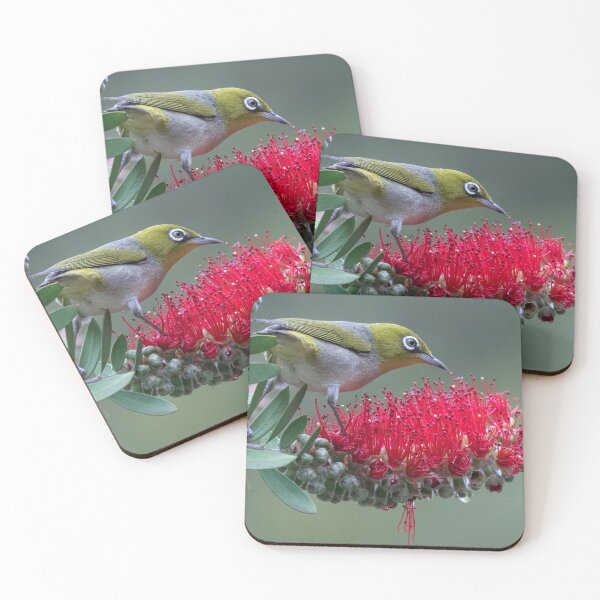 Item preview, Silvereye on bottlebrush.  designed and sold by DaveBassett.