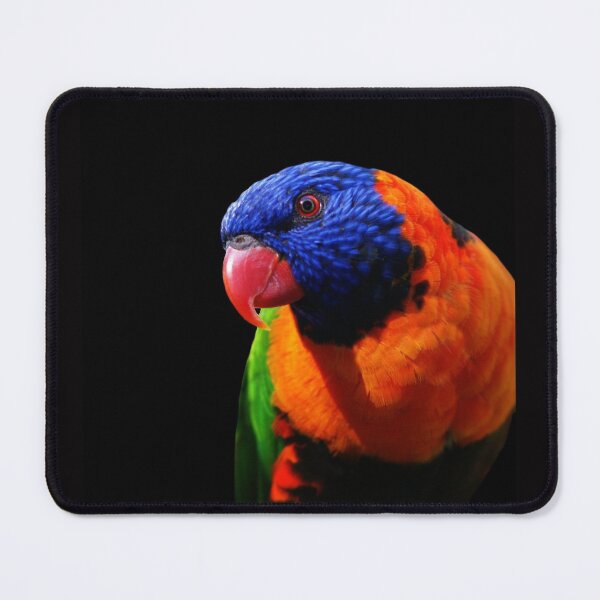 Item preview, Red-collared lorikeet designed and sold by rogersmith.