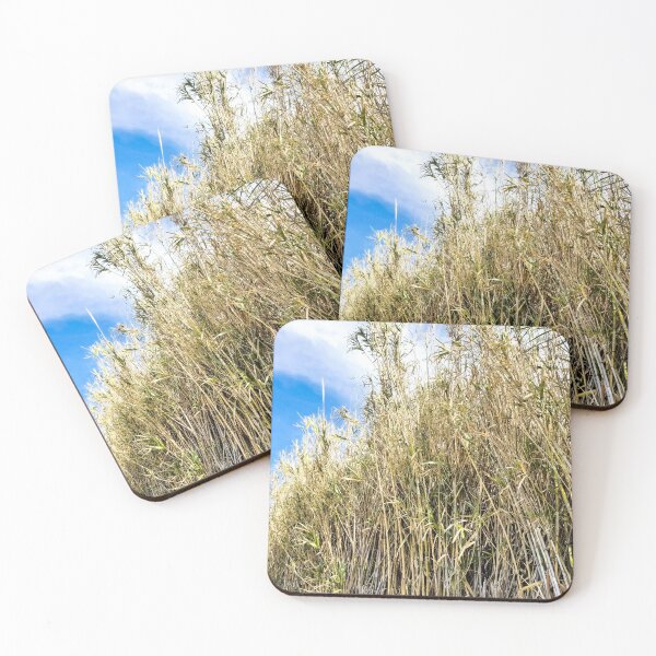 Item preview, Reeds designed and sold by Garlawach.