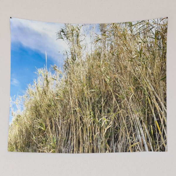 Item preview, Reeds designed and sold by Garlawach.