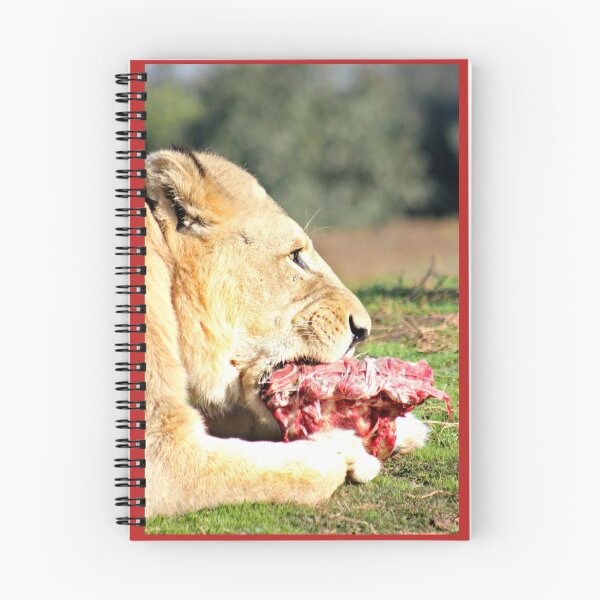 Item preview, Lunch designed and sold by Karen Tregoning.