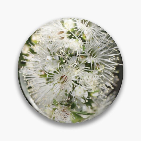 Item preview, Australian Native designed and sold by jarrahimages.