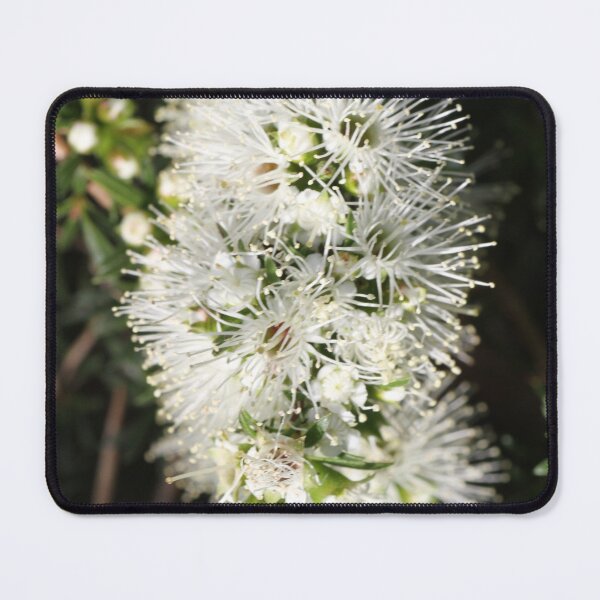 Item preview, Australian Native designed and sold by jarrahimages.