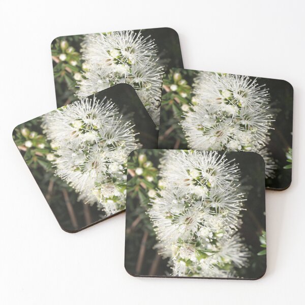 Item preview, Australian Native designed and sold by jarrahimages.