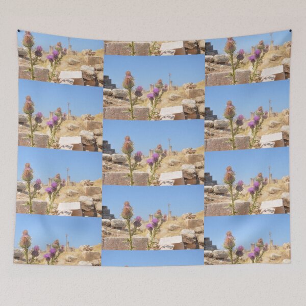 Item preview, Thistles Amidst Ancient Roman Ruins designed and sold by Malcolm Snook.