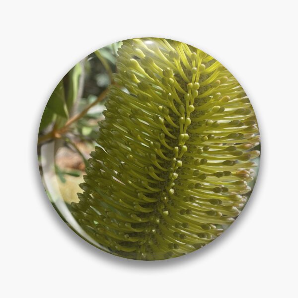Item preview, Banksia designed and sold by jarrahimages.