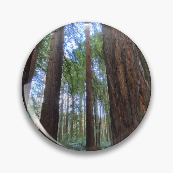 Item preview, Californian Redwoods at Beech Forest designed and sold by jarrahimages.
