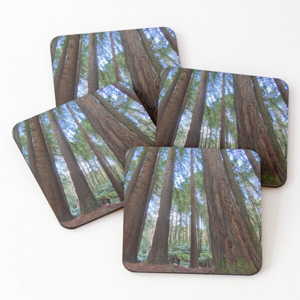Item preview, Californian Redwoods at Beech Forest designed and sold by jarrahimages.