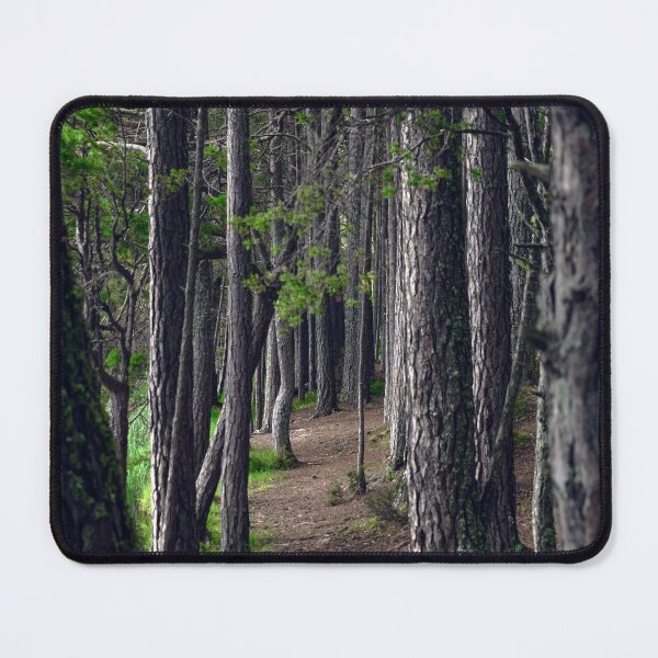 Item preview, Deep Woods designed and sold by Svetlana Sewell.