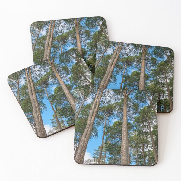 Item preview, Pine Trees designed and sold by Svetlana Sewell.