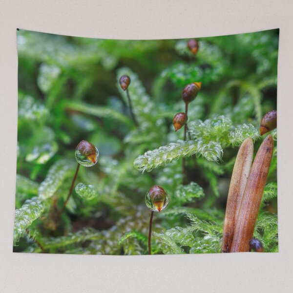 Item preview, Macro world designed and sold by Veikko  Suikkanen.
