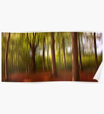 Autumn. Trees Poster