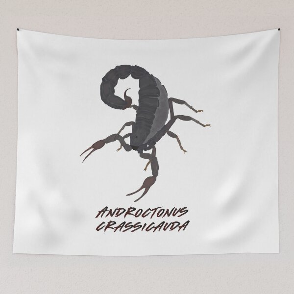 Item preview, Arabian fat-tailed scorpion(Androctonus crassicauda) designed and sold by VisionaryC.