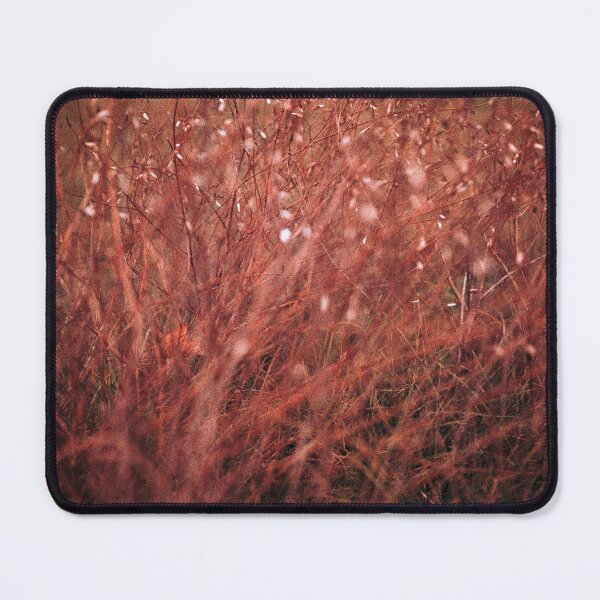 Item preview, blaze designed and sold by 5letters.