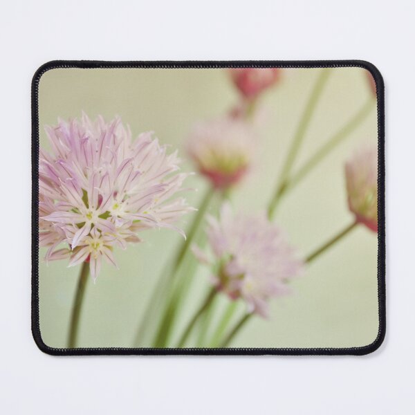 Item preview, Chives in flower. designed and sold by Lyn  Randle.