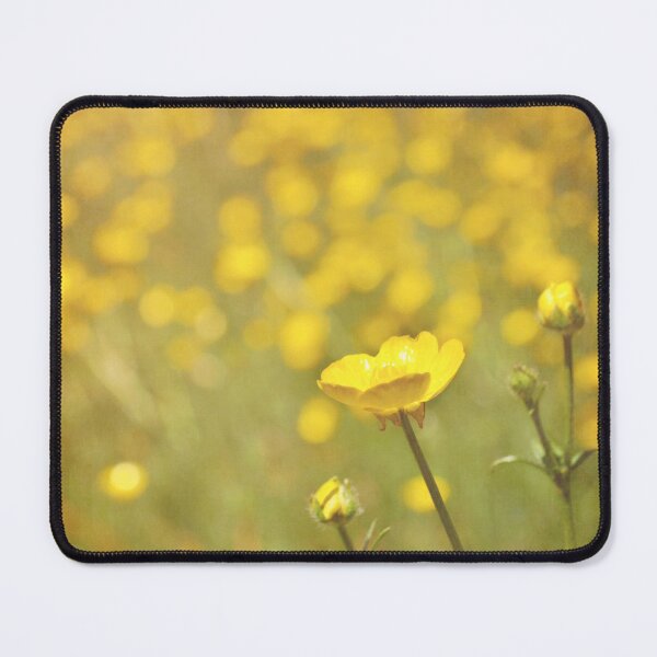 Item preview, Buttercups. designed and sold by Lyn Randle.