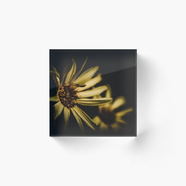 Flower in the dark Acrylic Block
