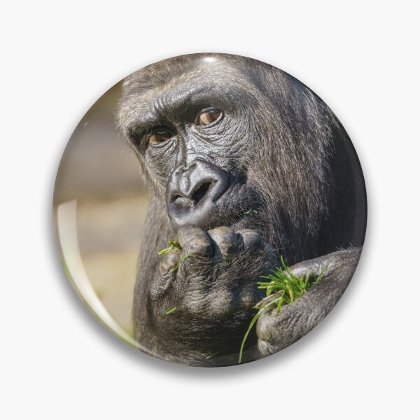 Item preview, Gorilla Youngster designed and sold by rawshutterbug.