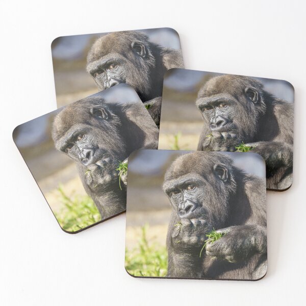 Item preview, Gorilla Youngster designed and sold by rawshutterbug.