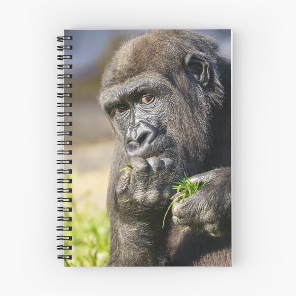 Item preview, Gorilla Youngster designed and sold by rawshutterbug.