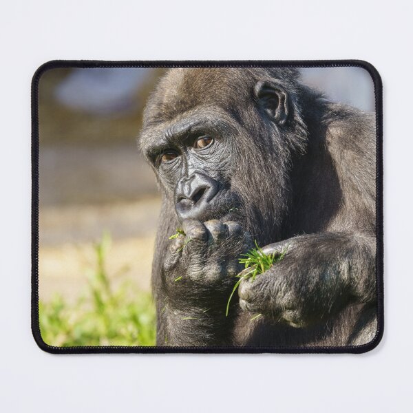 Item preview, Gorilla Youngster designed and sold by rawshutterbug.