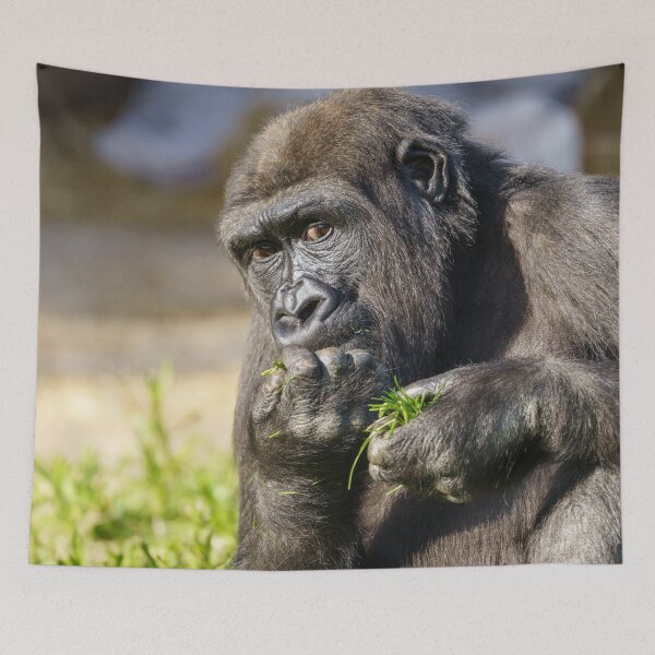 Item preview, Gorilla Youngster designed and sold by rawshutterbug.