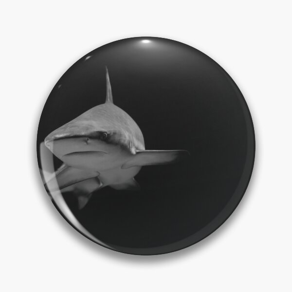 Item preview, shark photo with high resolution quality designed and sold by Allyouneed-2.